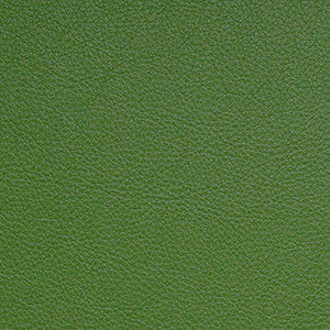 Classic Fern by Nassimi Fabric