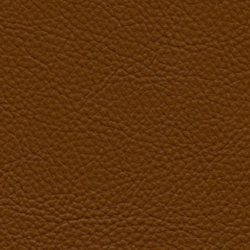 Classic Mustang by Nassimi Fabric See sample 100% Vinyl 500000 Horizontal: Not Applicable and Vertical: Not Applicable 54" - Fabric Carolina -