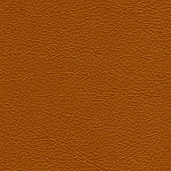 Classic Mustang SCL-109 by Nassimi Fabric our website for purchase 100% Vinyl USA or Asia Water-based cleaning agents and foam may be used for cleaning. This fabric may also be cleaned with mild, water-free solvents. Cleaning by a professional cleaning service is recommended. Horizontal: - and Vertical: - 54" - Fabric Carolina -