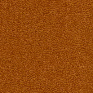 Classic Mustang by Nassimi Fabric
