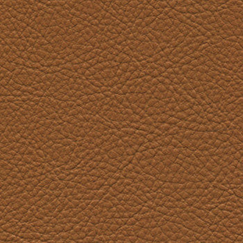 Classic Rodeo SCL-112 by Nassimi Designer Fabric See sample 100% Vinyl USA or Imported Water-based cleaning agents and foam may be used for cleaning. Cleaning by a professional cleaning service is recommended.  54  - Swanky Fabrics -