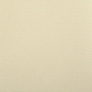 Connect Canvas by Nassimi Fabric