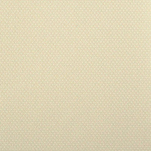 Connect Canvas by Nassimi Fabric