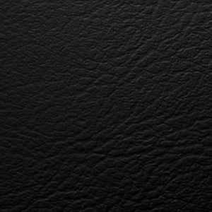 Contempora Black 0919 by Mississippi Polymers Fabric