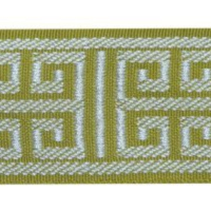 Corinth Citrus by Europatex Designer Fabric Tapes Decor 100% Polyester 2.00 inches - Swanky Fabrics -