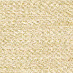 Cove Canvas by Crypton Fabric