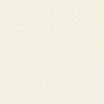 Cove Muslin by Crypton Fabric See sample 88% Polyester12% Nylon 100000 Horizontal: Not Applicable and Vertical: Not Applicable 54" - Fabric Carolina -