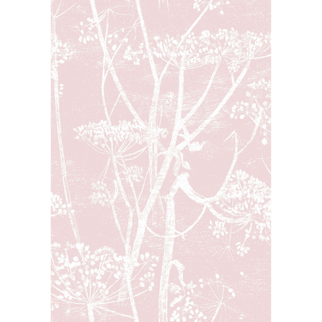 Color Box Velvet - Moss By Cole & Son Fabric