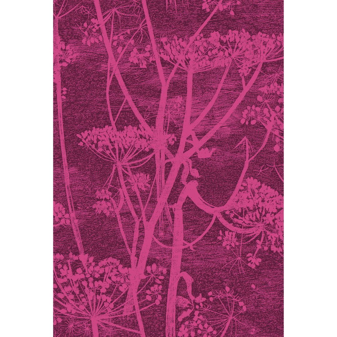 Color Box Velvet - Poppy By Cole & Son Fabric