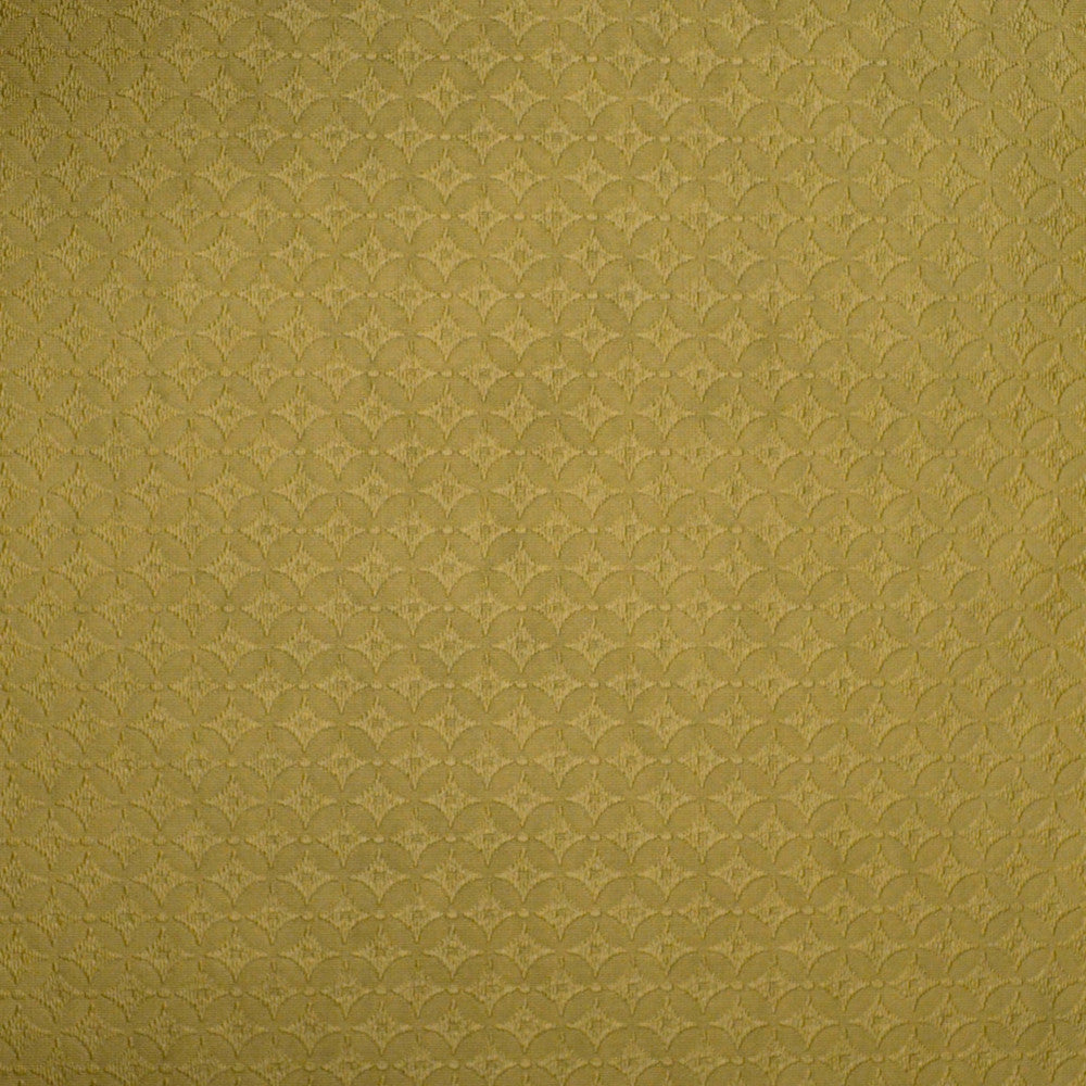 Vinyl Library Crown Gold by Europatex Fabric Vinyl Library 40% Polyester, 55% pvc, 5% PU 55.00 inches - Fabric Carolina -
