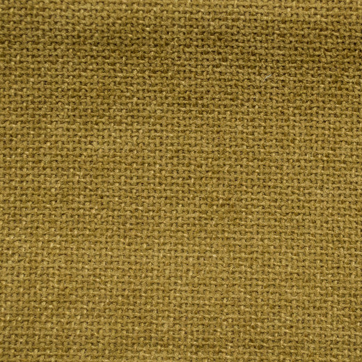 Cuddle - Beeswax by Europatex Fabric Cuddle 100% Polyester China See Sample Horizontal: N/A and Vertical: N/A 54.00 inches  - Fabric Carolina -