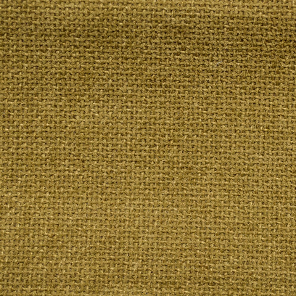 Cuddle Beeswax by Europatex Fabric Cuddle 100% Polyester 0.00" 54.00 inches - Fabric Carolina -