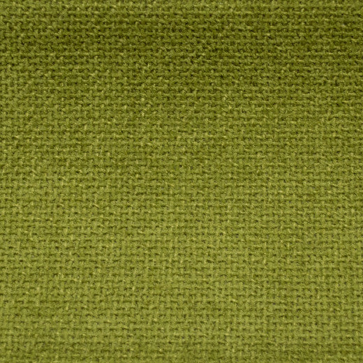 Cuddle - Fennel by Europatex Fabric Cuddle 100% Polyester China See Sample Horizontal: N/A and Vertical: N/A 54.00 inches  - Fabric Carolina -
