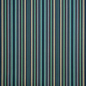 56100 Cultivate Breeze by Sunbrella Fabric