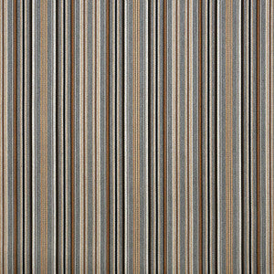 56107 Cultivate Stone by Sunbrella Fabric
