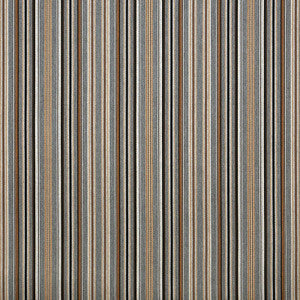 56107 Cultivate Stone by Sunbrella Fabric