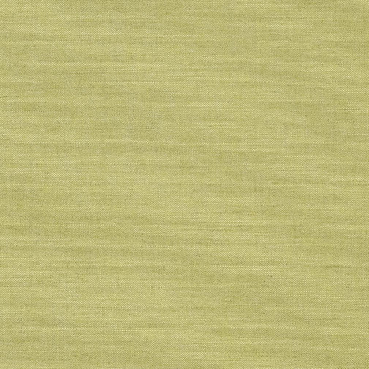 D1005 Fern by Charlotte Fabric Prints & Wovens 100% Solution Dyed Woven Acrylic Made In USA Exceeds 60,000 Wyzenbeek Rubs (Heavy Duty) </p><p>Repeat: 54 Inches - Fabric Carolina -