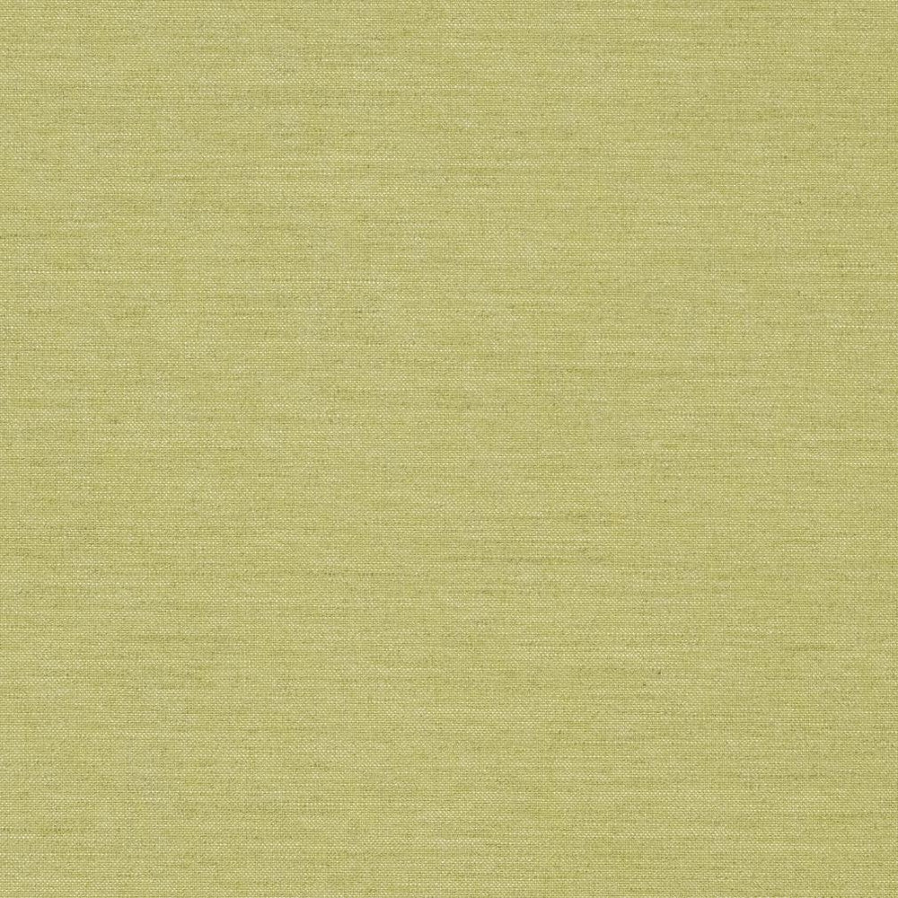 D1005 Fern by Charlotte Fabric Prints & Wovens 100% Solution Dyed Woven Acrylic Made In USA Exceeds 60,000 Wyzenbeek Rubs (Heavy Duty) </p><p>Repeat: No Repeat 54 Inches - Fabric Carolina -