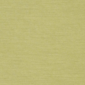 D1005 Fern by Charlotte Fabric