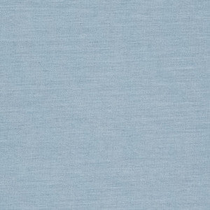 D1006 Denim by Charlotte Fabric