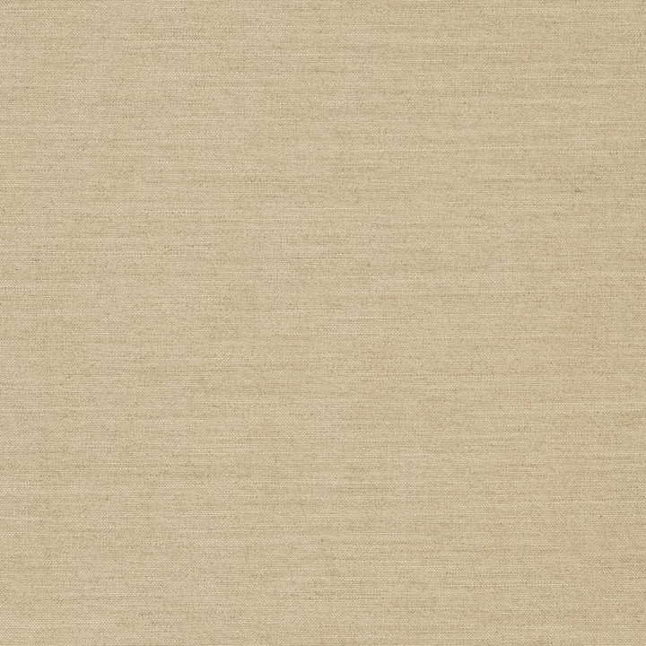 D1007 Linen by Charlotte Designer Fabric Prints & Wovens 100% Solution Dyed Woven Acrylic Made In USA Exceeds 60,000 Wyzenbeek Rubs (Heavy Duty) No Repeat 54 Inches - Swanky Fabrics -