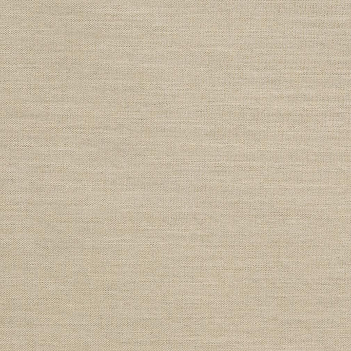 D1008 Sandstone by Charlotte Fabric Prints & Wovens 100% Solution Dyed Woven Acrylic Made In USA Exceeds 60,000 Wyzenbeek Rubs (Heavy Duty) No Repeat 54 Inches - Fabric Carolina -