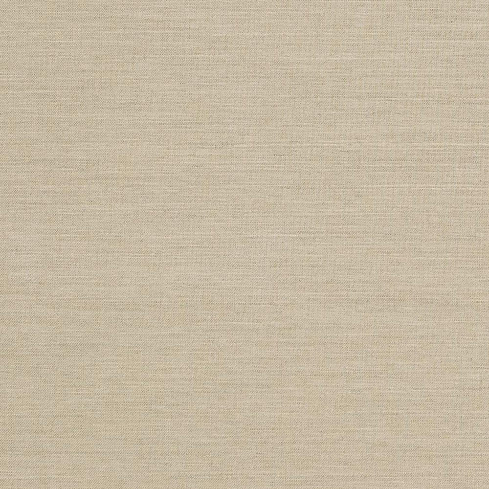D1008 Sandstone by Charlotte Fabric Prints & Wovens 100% Solution Dyed Woven Acrylic Made In USA Exceeds 60,000 Wyzenbeek Rubs (Heavy Duty) No Repeat 54 Inches - Fabric Carolina -