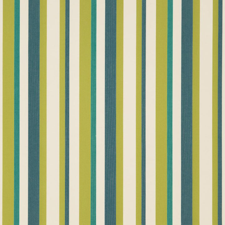 D1012 Meadow Stripe by Charlotte Fabric Prints & Wovens 100% Solution Dyed Woven Acrylic Made In USA Exceeds 60,000 Wyzenbeek Rubs (Heavy Duty) Horizontal 6.75" 54 Inches - Fabric Carolina -