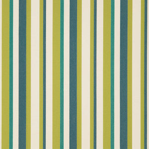 D1012 Meadow Stripe by Charlotte Fabric