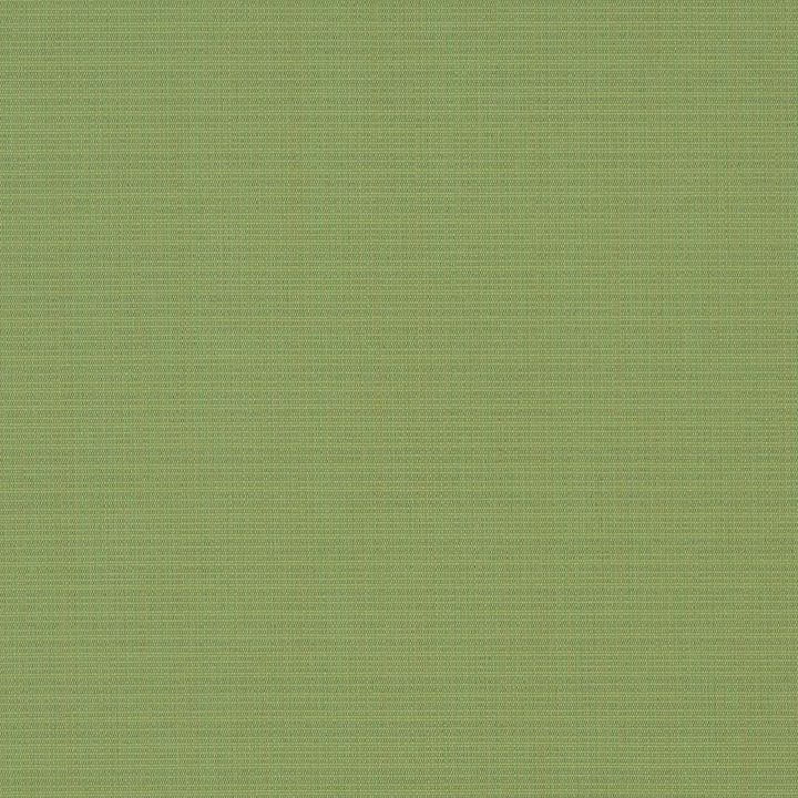 D1015 Basil by Charlotte Designer Fabric Prints & Wovens 100% Solution Dyed Woven Acrylic Made In USA Exceeds 60,000 Wyzenbeek Rubs (Heavy Duty) </p><p>Repeat: 54 Inches - Swanky Fabrics -