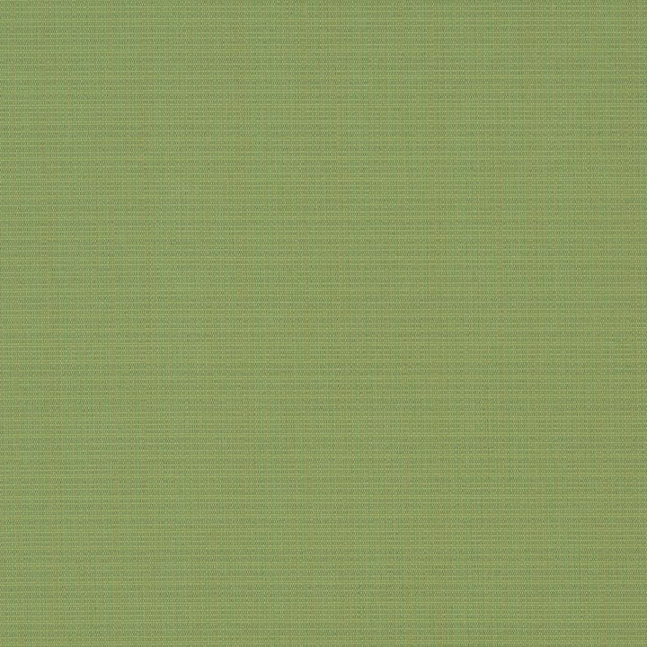 D1015 Basil by Charlotte Fabric Prints & Wovens 100% Solution Dyed Woven Acrylic Made In USA Exceeds 60,000 Wyzenbeek Rubs (Heavy Duty) No Repeat 54 Inches - Fabric Carolina -