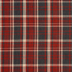 D101 Brick Plaid by Charlotte Fabric
