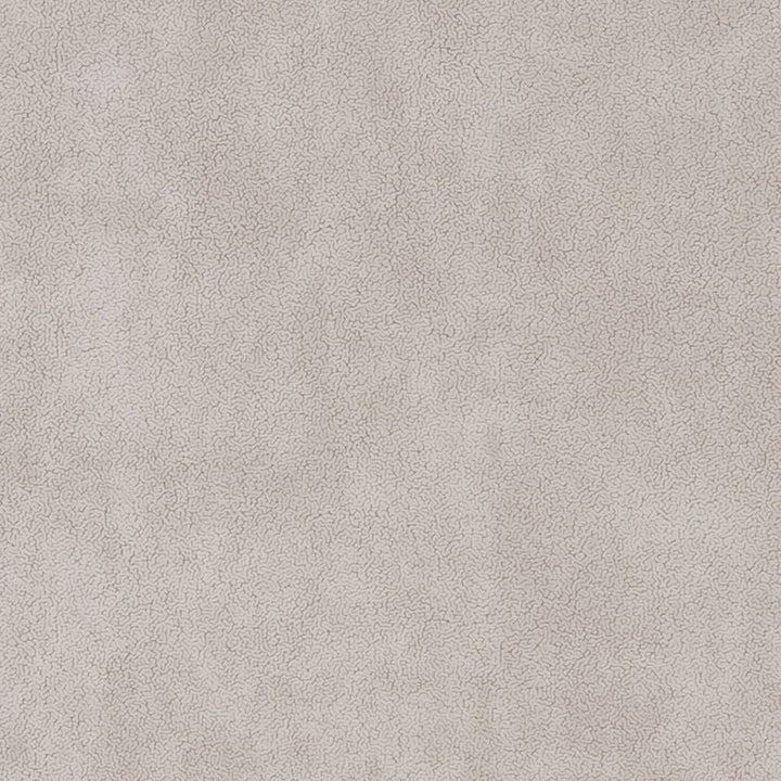 D1049 Dove by Charlotte Fabric Microfibers III 100% Nylon Microfiber Turkey Exceeds 200,000 Wyzenbeek Rubs (Heavy Duty) No Repeat 54 Inches - Fabric Carolina -