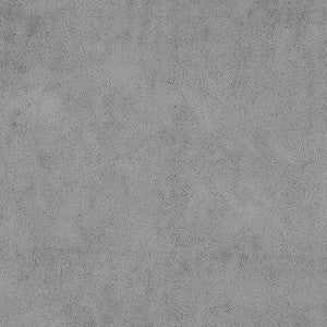D1050 Slate by Charlotte Fabric