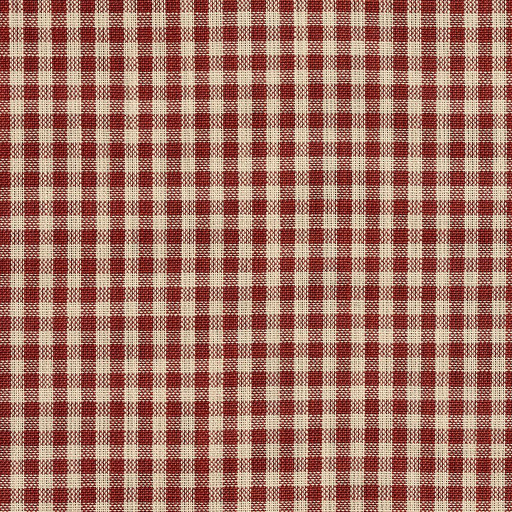 D115 Brick Gingham by Charlotte Fabric Clubhouse Collection 100% Woven Polyester Asia Exceeds 120,000 Wyzenbeek Rubs (Heavy Duty) Horizontal: .5" x Vertical: .5" 54 Inches - Fabric Carolina -