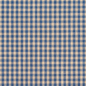 D116 Wedgewood Gingham by Charlotte Fabric