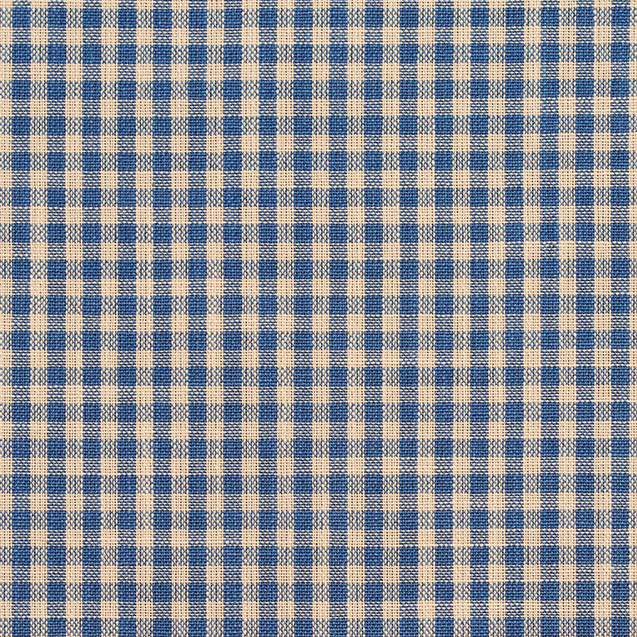 D116 Wedgewood Gingham by Charlotte Fabric Clubhouse Collection 100% Woven Polyester Asia Exceeds 120,000 Wyzenbeek Rubs (Heavy Duty) </p><p>Repeat: Horizontal: .5" x Vertical: .5" 54 Inches - Fabric Carolina -