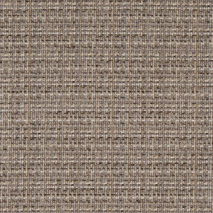 D1175 Driftwood by Charlotte Fabric