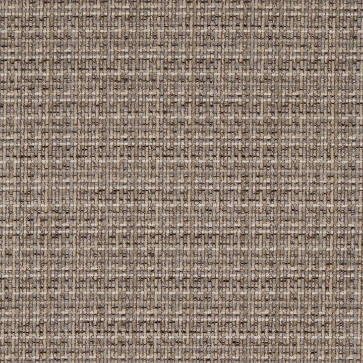 D1175 Driftwood by Charlotte Designer Fabric Crypton Neutrals 100% Woven Polyester China Exceeds 100,000 Wyzenbeek Rubs (Heavy Duty) No Repeat 54 Inches - Swanky Fabrics -