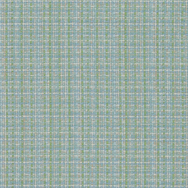 D1177 Meadow by Charlotte Fabric Crypton Colors 100% Woven Polyester China Exceeds 100,000 Wyzenbeek Rubs (Heavy Duty) No Repeat 54 Inches - Fabric Carolina -