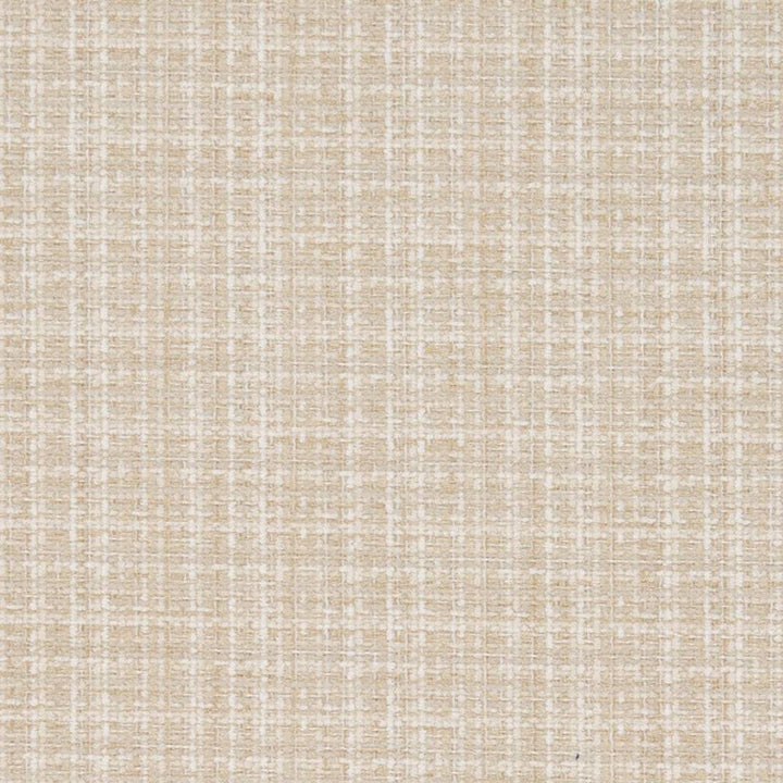 D1178 Champagne by Charlotte Designer Fabric Crypton Neutrals 100% Woven Polyester China Exceeds 100,000 Wyzenbeek Rubs (Heavy Duty) No Repeat 54 Inches - Swanky Fabrics -