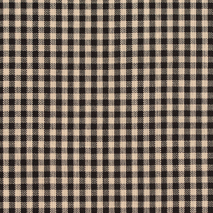 D117 Onyx Gingham by Charlotte Fabric Clubhouse Collection 100% Woven Polyester Asia Exceeds 120,000 Wyzenbeek Rubs (Heavy Duty) </p><p>Repeat: Horizontal: .5" x Vertical: .5" 54 Inches - Fabric Carolina -