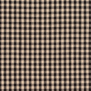 D117 Onyx Gingham by Charlotte Fabric