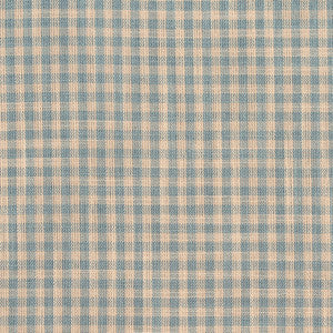 D118 Cornflower Gingham by Charlotte Fabric
