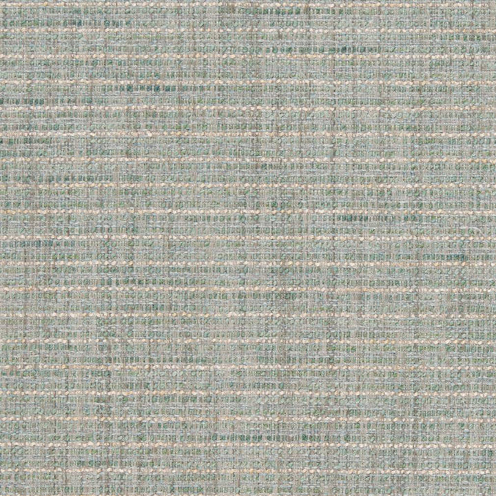D1196 Celadon by Charlotte Designer Fabric Crypton Colors 100% Woven Polyester China Exceeds 100,000 Wyzenbeek Rubs (Heavy Duty) No Repeat 54 Inches - Swanky Fabrics -