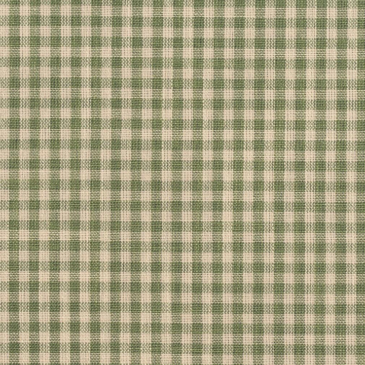 D119 Juniper Gingham by Charlotte Designer Fabric Clubhouse Collection 100% Woven Polyester Asia Exceeds 120,000 Wyzenbeek Rubs (Heavy Duty) Horizontal: .5" x Vertical: .5" 54 Inches - Swanky Fabrics -