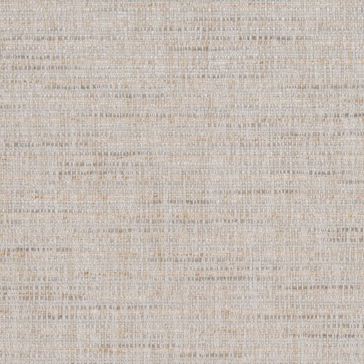 D1201 Beach by Charlotte Fabric Crypton Neutrals 100% Woven Polyester China Exceeds 100,000 Wyzenbeek Rubs (Heavy Duty) No Repeat 54 Inches - Fabric Carolina -