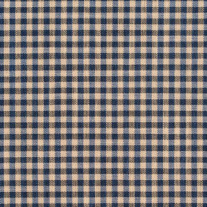 D120 Indigo Gingham by Charlotte Fabric
