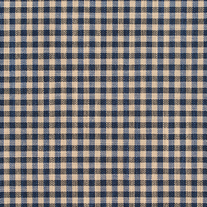 D120 Indigo Gingham by Charlotte Fabric Clubhouse Collection 100% Woven Polyester Asia Exceeds 120,000 Wyzenbeek Rubs (Heavy Duty) </p><p>Repeat: Horizontal: .5" x Vertical: .5" 54 Inches - Fabric Carolina -