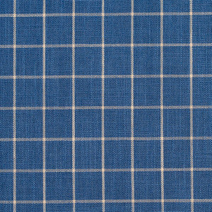 D123 Wedgewood Checkerboard by Charlotte Fabric